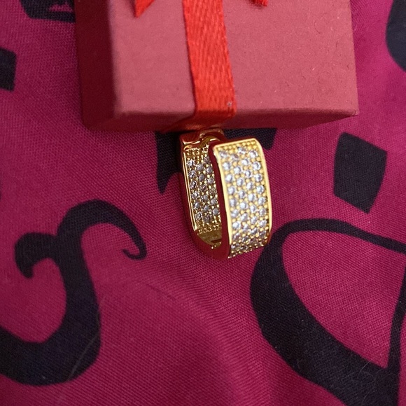 Sparkly Hinged Earrings - Picture 4 of 7